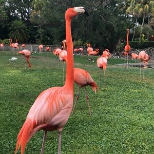 Meet your Posher, Yaimara